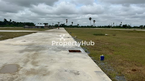 ដីលក់បន្ទាន់នៅផ្លូវ៤២