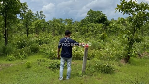 Land for sale at Ratanakiri 25x200