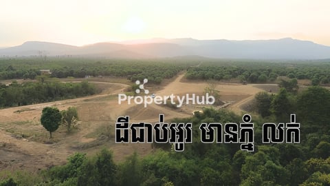 ដីអូរព័ទ្ធជុំវិញដូចកោះ ទេសភាពភ្នំនៅពីក្រោយ
