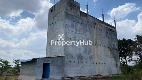 ផ្ទះត្រចៀកកាំលក់បន្ទាន់