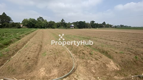 ដីលក់ ម្ចាស់ប្រញ៉ាប់លុយបន្ទាន់