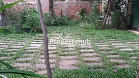 Siem Reap Land for Rent