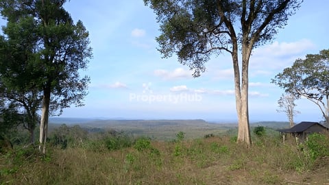 SEAFOREST VIEW Hill top land in Mondulkiri