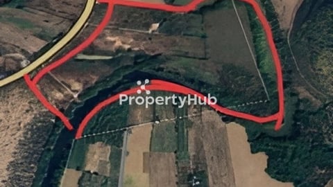 ដី+ផ្ទះ+ចំការ លក់បន្ទាន់ខ្លាំង