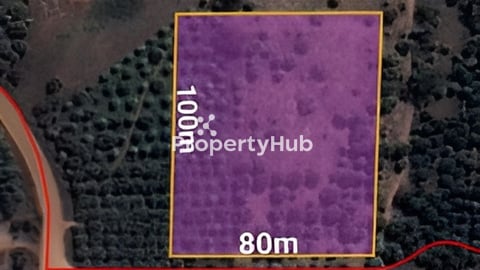 ដីលក់ទំហំ: ប្រហែលជាង 8000m2 នៅស្រុកល្វាឯម