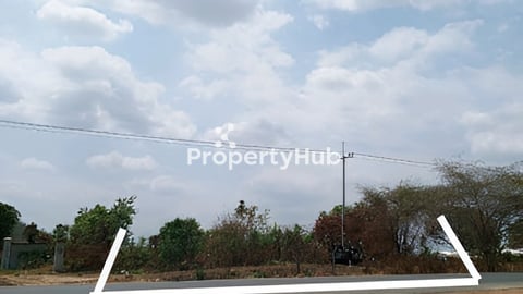 ដីលើផ្លូវ44