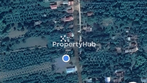 ដីលក់នៅជ្រោយដង