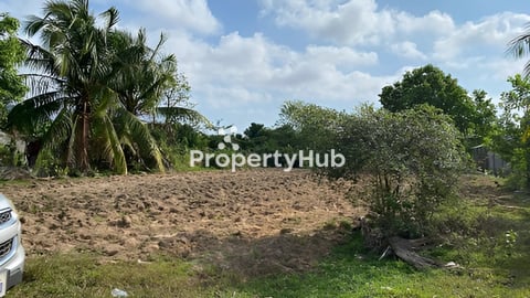 Land for Sale or Rent