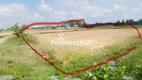 ដីស្អាត លក់បន្ទាន់