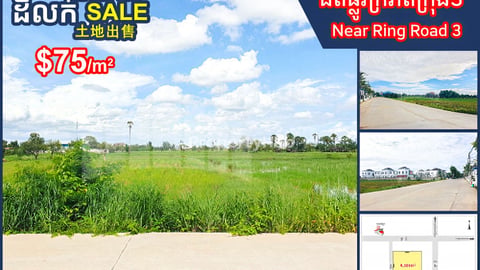 Land for Sale along concrete road, near Ring Road 3