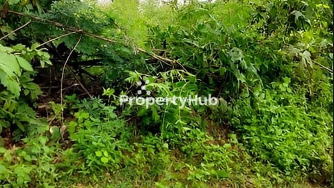 ដីចំការជិតផ្លូវកៅស៊ូលក់ប្រញាប់