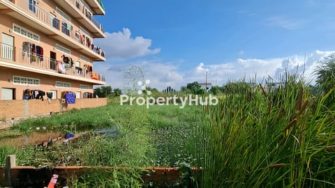 ដីលក់ក្រោមទី ផ្សារ មាន 5 ឡូ នៅ អូឌឹមតម្លៃ 1ឡូ16900 ប្រមូតសិនឆ្នាំថ្មី