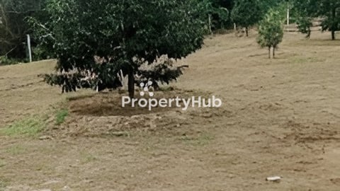 ដីចំការធុរេនកំពតលក់