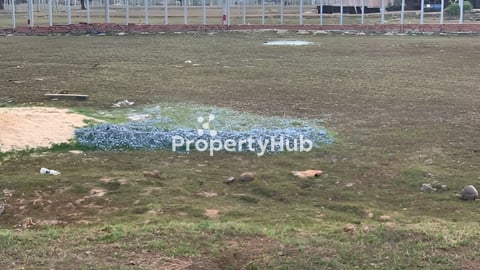 ប្លង់រឹង