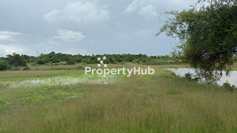 ទំហំ​ដី​ ចំការ​ និង​ដី​ស្រែ​ 5 ហិតា​ប្លង់​រឹង​