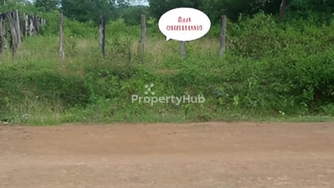 ដីក្បែរផ្សារ