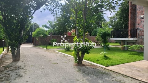 ដីមាត់ទន្លេកោះដាច់017459384.015968583