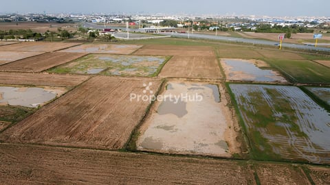 Commercial Land for Sale (P004)