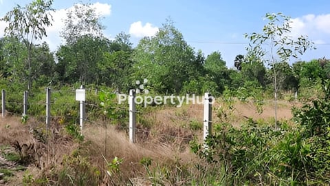 ដីលក់ នៅកែប(អាចចចារបាន)