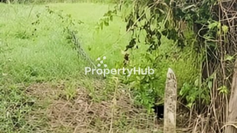 ដីទំហំ: 41m x 30m (ស្ថិតក្នុងក្នុងក្រុងអរិយក្សត្រ)