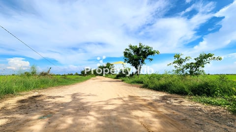 ដីលក់បន្ទាន់លុយខ្លាំងនៅអរិយក្សត្រ