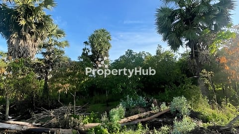 ដីលក់បន្ទាន់ ដីខ្លួនឯងផ្ទាល់