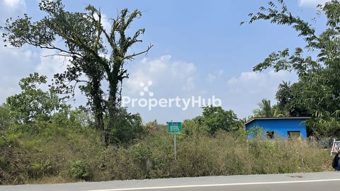 ដីលក់នៅសែ្រអំបិលផ្លូវទៅឆេ្នរនេសាទនឹងឆេ្នរកោងកាង