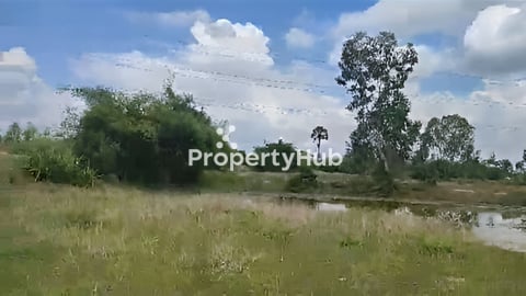 ដីលក់ ១១ហិកតា (ជិតភ្នំតាម៉ៅ)