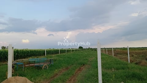 ស្វាយប្រទាល ឃុំស្វាយប្រទាល ស្រុកស្អាងតាមព្រែកតាសៅ_ប្លង់រឹង