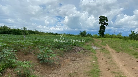 ដីកសិកម្មសម្រាប់លក់នៅវាលវែងខេត្តពោធិ៍សាត់ Agriculture Land at Pursat province fo