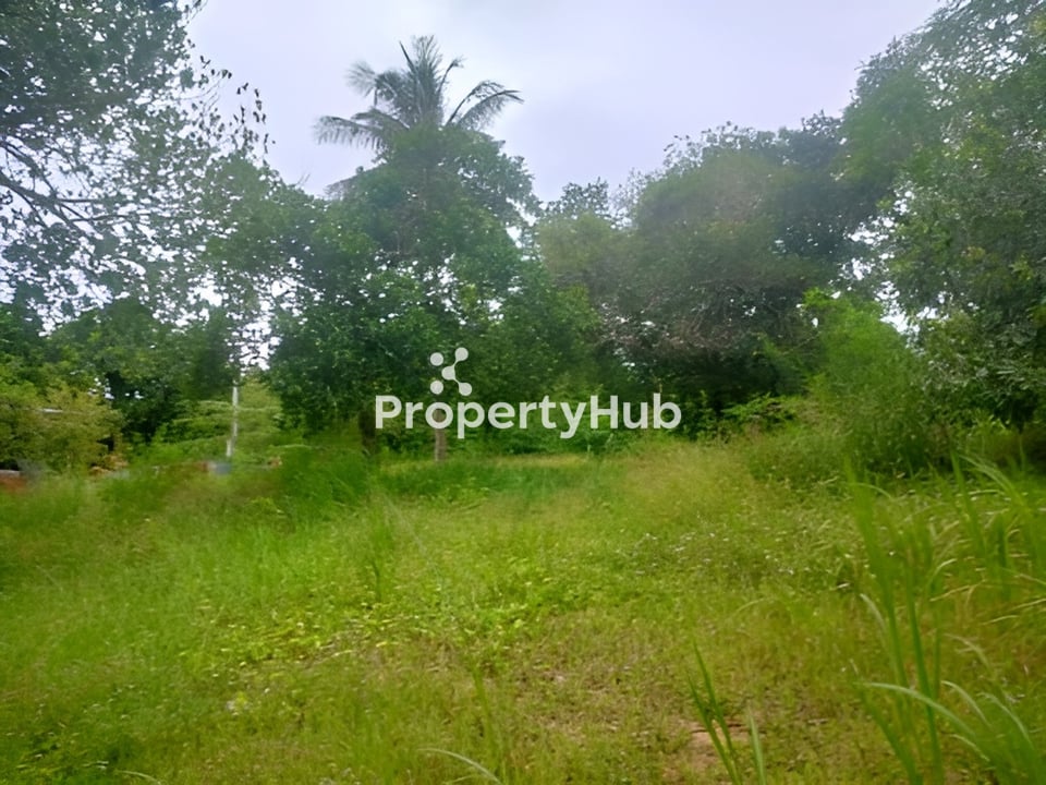 Property 4