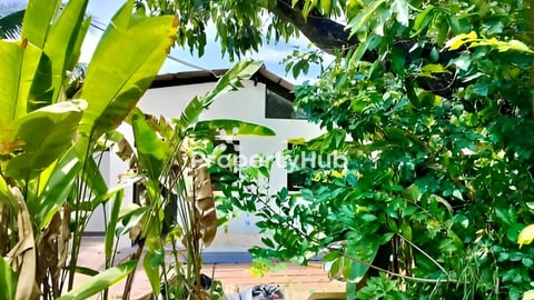 Property for rent from krong kep