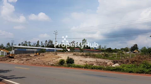 ដីលក់រឺជួលនៅកំពង់សិលា