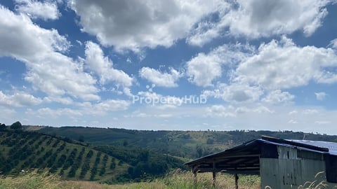 ដីលក់5ហាត់ ម្ចាស់ផ្ទាល់