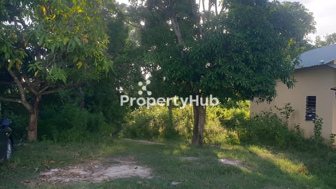 ដីលក់បន្ទាន់