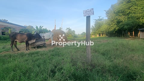 ដីលក់ 32*50 ប្លង់រឹង ភូមិស្រះទឹកថ្មី ឃុំតាក្រី  ស្រុកកំរៀង ខេត្តបាត់ដំបង