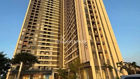 R&F miro for rent
