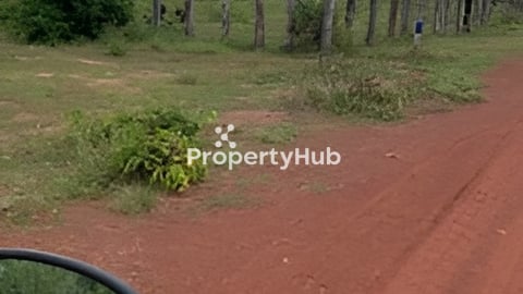 ដីលក់សៀមរាប15mX30m