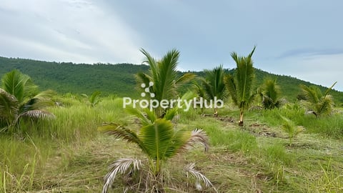 ដីចំការជេីងភ្នំ