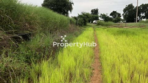 ចង់លក់ដីបាត់ដំបងផ្លូវទៅប្រាសាទបាសែតជាប់ផ្លូវរដ្ឋ 40m តាកុកទំហំដី 2ហិចតាកន្លះ