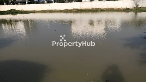 ដីលក់ និងជួល នៅសង្កាត់ស្នោ