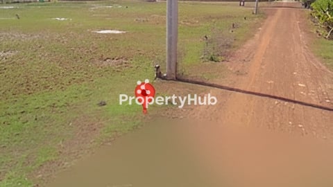 ដីឡូសំរាប់លក់ នៅក្នុងក្រុងសៀមរាប