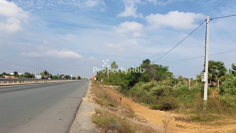 ដីលក់នៅពោតិ៍សាត់