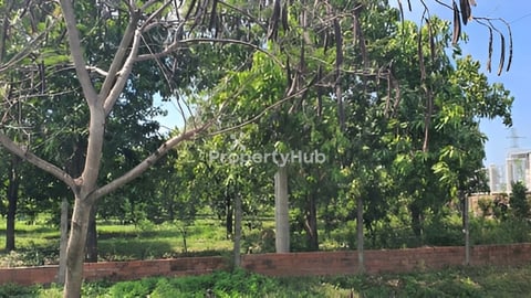 1ការ៉េ100ជាប់ការាស់សាំងនឺងជិតចំការផ្កា  ដីក្បាល37ម៉ែត្រ