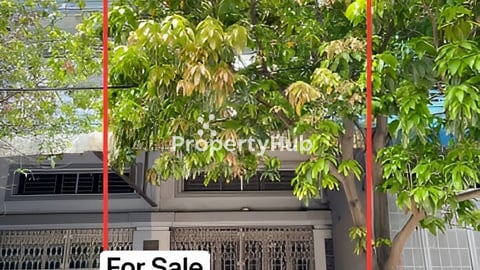 ផ្ទះសម្រាប់លក់ នៅជិតផ្សារ ឈូកមាស   | Shop house for sale near Chhuk Meas Market