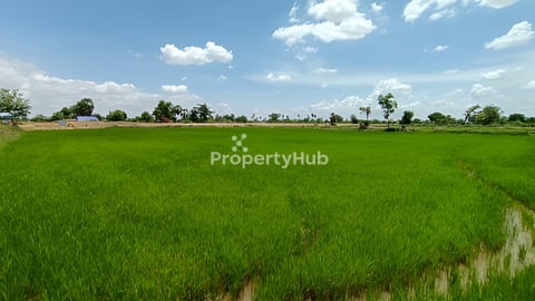 ដីសំរាប់លក់