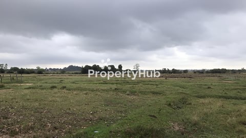 ដីកោះកុងតាតៃលក់15ហិចតា