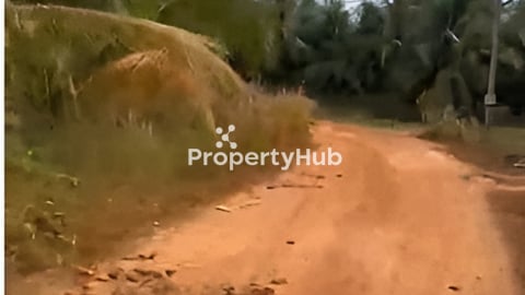 ដីលក់បន្ទាន់ចុះពីផ្លូវជាតិ3:  500m នៅស្រុកឈូក ខេត្តកំពត