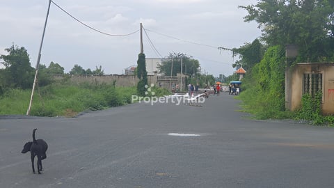 ដីកែងសម្រាប់លក់នៅក្នុងបុរីកាំងម៉េង