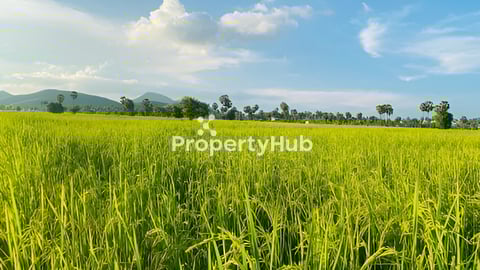 ដីលក់ទំហំលើសពី៤ហិចតា អាចទិញពង្រីកបន្ថែមបាន